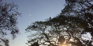 ยามเช้า ที่วัดบุญญฤทธาราม จ.ชลบุรี
