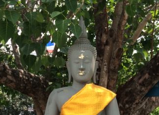 ๒. เราจะเรียกร้องสิทธิให้ตัวเองเพื่อความเป็นธรรมได้หรือไม่ ? Q&A Quickly Dhrama Healing by พระมหาขวัญชัย กิตฺติเมธี พระพุทธรูป ณ หอพระพุทธสิงห์ จ.ชลบุรี Photo by Manasikul.com