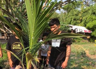 ป่าคือชีวิต ต้นไม้คือลมหายใจ โดย พระมหาอภิชาติ ธมฺมาภินนฺโท ป่าคือชีวิต ต้นไม้คือลมหายใจ โดย พระมหาอภิชาติ ธมฺมาภินนฺโท