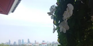 ดอกไม้น้อยอหังการ จะบานแต้มโลก โดย พระครูใบฎีกามงคล วชิรปัญโญ เรื่อง ปัญญวชิรา ภาพ