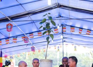 พระสงฆ์นานาชาติ กับพลังแห่งความศรัทธา ในมณฑลพิธีแห่ต้นพระศรีมหาโพธิ์ เปิดวัดเวียดนาม เมืองชอนัน ประเทศเกาหลีใต้ โดย พระมหาอภิชาติ ธมฺมาภินนฺโท