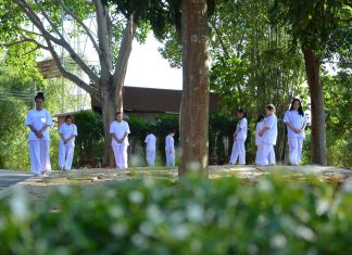 ถอดบทเรียนการปฏิบัติธรรมระยะสั้น โดย พระมหาประสิทธิ์ ญาณปฺปทีโป “สงบชั่วคราว” ยังดีกว่า “วุ่นวายชั่วชีวิต” ถอดบทเรียนการพาใจไปพักปฏิบัติธรรมระยะสั้น โดย พระมหาประสิทธิ์ ญาณปฺปทีโป