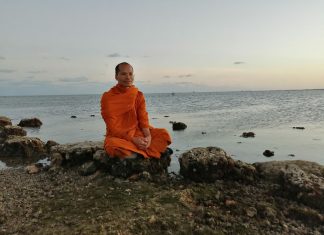 จาริกธรรมในอเมริกา (ตอนที่ ๑๓) “วันขอบคุณพระเจ้า” วันแห่งความกตัญญู โดย พระครูสมุห์สุพัฒน์ อนาลโย พระครูสมุห์สุพัฒน์ อนาลโย