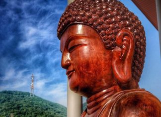 บัวบานกลางดินแดนโสม โดย พระมหาอภิชาติ ธมฺมาภินนฺโท บัวบานกลางดินแดนโสม โดย พระมหาอภิชาติ ธมฺมาภินนฺโท