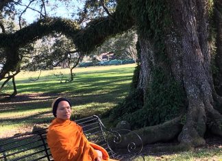 จาริกธรรมในอเมริกา (ตอนที่ ๓๖) “ดอกบัวเกิดดับร่วงโรยไปตามธรรมชาติ” เรื่องและภาพ โดย พระครูสมุห์สุพัฒน์ อนาลโย จาริกธรรมในอเมริกา (ตอนที่ ๓๖) “ดอกบัวเกิดดับร่วงโรยไปตามธรรมชาติ” โดย พระครูสมุห์สุพัฒน์ อนาลโย