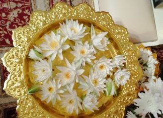 จาริกธรรมในอเมริกา (ตอนที่ ๔๔) “รักแท้คือแม่เรา : ที่สุดของกำลังใจที่ดีของพ่อแม่ก็คือลูก และ กำลังใจที่ดีที่สุดของลูกก็คือ พ่อแม่ ” เขียนโดย พระครูสมุห์สุพัฒน์ อนาลโย จาริกธรรมในอเมริกา (ตอนที่ ๔๔) "รักแท้คือแม่เรา : ที่สุดของกำลังใจที่ดีของพ่อแม่ก็คือลูก และ กำลังใจที่ดีที่สุดของลูกก็คือ พ่อแม่ " เขียนโดย พระครูสมุห์สุพัฒน์ อนาลโย