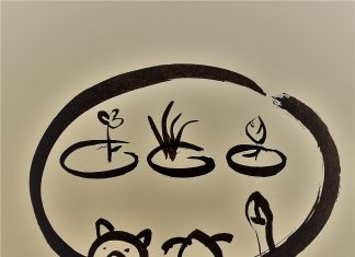 ภาพวาดโดย หมอนไม้ (มนสิกุล)