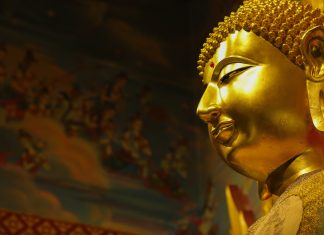 ทำไม…ลูกผู้ชายต้องบวช (ตอนที่ ๓๔) บรรพ์ที่ ๖ สิ่งที่พระภิกษุผู้บวชใหม่ควรทำความเข้าใจเกี่ยวกับศีล ๒๒๗ ข้อ (ตอนที่ ๑) จุดประสงค์ของการบัญญัติพระวินัย เขียนโดย ญาณวชิระ : พระราชกิจจาภรณ์ (เทอด ญาณวชิโร) เรียบเรียง