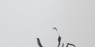 "บิณฑบาต" ภาพวาดลายเส้นพู่กันจีน โดย มนสิกุล