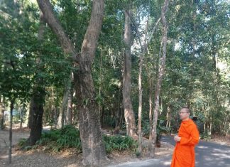 บันทึกธรรม สัมมาสมาธิ (บทที่ ๒๗) “ ต้องพลิกขณะจิตจากสมถะสู่วิปัสสนา” เขียนโดย พระอาจารย์ญาณวชิระ (เทอด ญาณวชิโร) พระอาจารย์ญาณวชิระ : พระราชกิจจาภรณ์ (เทอด ญาณวชิโร) ในขณะนั้น ผู้เขียน ภาพในอดีต