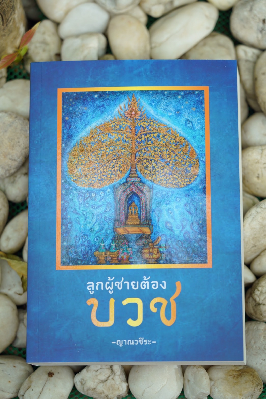 ธรรมนิพนธ์เรื่อง "ลูกผู้ชายต้องบวช" เรียบเรียงโดย พระอาจารย์ญาณวชิระ (เทอด ญาณวชิโร) พระราชกิจจาภรณ์ ในขณะนั้น /ที่ปรึกษา พระเทพรัตนมุนี ,พระครูอมรโฆสิต (ปรีชา สาเส็ง) และ พระมหาธีระศักดิ์ ธีรปญฺโญ/ภาพถ่าย : พระมหาปฐมพงศ์ ญาณวํโส /แบบปก - รูปเล่ม : พระมหาเดชา ปญฺญาคโม และ พระมหาสมบัติ ภูริปญฺโญ /บรรณาธิการ : พระมหาขวัญชัย กิตฺติเมธี และ มนสิกุล โอวาทเภสัชช์ /ผู้อุปถัมภ์การจัดพิมพ์ โตโยต้าบัสส์ จำกัด/ จัดพิมพ์โดย สถาบันพัฒนาพระวิทยากร วัดสระเกศฯ กรุงเทพมหานคร (ฉบับธรรมทาน)