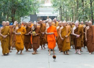 ๑๖ มกราคม พุทธศักราช ๒๕๖๘ อาจาริยบูชาบรมครูผู้รู้แจ้งโลก ๓๓ ปีแห่งการละสังขาร พระโพธิญาณเถร (หลวงปู่ชา สุภัทโท) รำลึกสายธารธรรมจากวัดหนองป่าพง ถึง สมเด็จพระพุฒาจารย์ (เกี่ยว อุปเสณมหาเถร) วัดสระเกศฯ