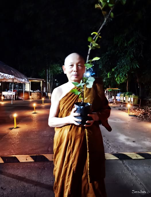 กราบขอบพระคุณ ภาพจากเพจ วัดป่าสุคะโต ธรรมชาติที่พักใจ โดย zen sukato