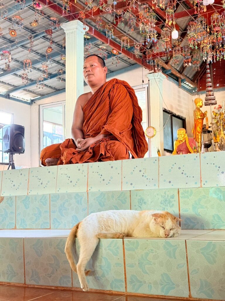 พระมหาติ่ง มหิสฺสโร,ดร. ประธานสงฆ์พุทธสถานฮ่องธรรม 
และ ประธานดำเนินโครงการ "บรรพชาสามเณรพุทธศากยบุตร  
สร้างมหาบารมีทศชาติ   ปณิธานมหาบุรุษ  ไม่เปลี่ยนแปลง  
เพื่อน้อมถวายเป็นพระราชกุศลแด่สมเด็จพระนางเจ้าสิริกิติ์ 
พระบรมราชินีนาถ พระบรมราชชนนีพันปีหลวง“ ปีที่ ๒